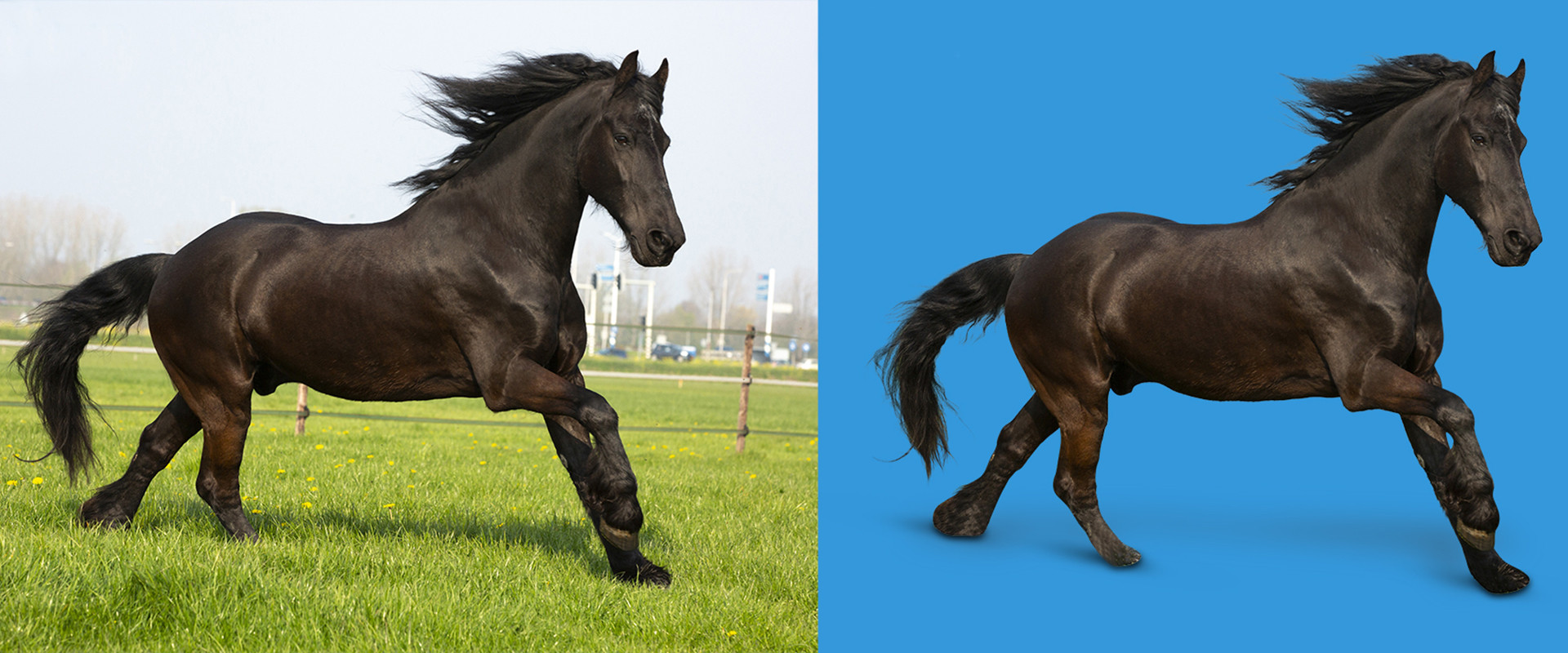 Clipping Path Service Provider  < Starts @ US $0.39